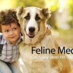 Feline Medical Center Richmond