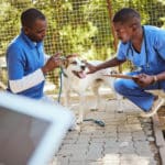 Why Are There So Few Black Veterinarians?