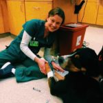 Incredible Veterinary Technologist Jobs Near Me References