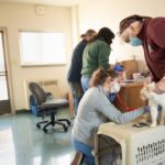 UC Davis Veterinary Students Expand Care for Pets of Homeless