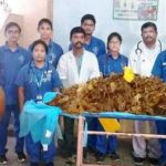 52kgs of plastic waste removed from cow’s stomach