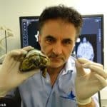 TV vet Noel Fitzpatrick: How malpractice row over bionic tortoise drove me to the brink