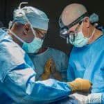 Medical specialists perform risky brain surgery on a Wisconsin bonobo, most related species to humans