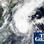 Typhoon Maysak: ship with 43 crew and nearly 6,000 cattle missing off Japan | Japan | The Guardian