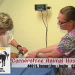 Cornerstone Animal Hospital -Our pets are an important part of our families and they receive quality care (022620) | KSNF/KODE – FourStatesHomepage.com