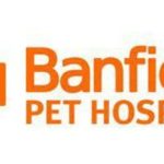 Banfield Pet Hospital's 4th Annual Veterinary Emerging Topics (VET)® Report Reveals Pet Obesity Still on the Rise