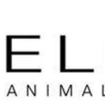 ELIAS Animal Health Expands Clinical Trial of Immunotherapy Treatment for Cancer in Dogs