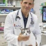 Diabetic dogs and cats needed for microbiome study