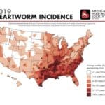 Canine Heartworm Cases in Washington Continued Upward Trajectory in 2020