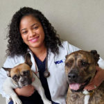 Southeast Veterinary Hospital Metairie