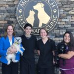 Sterling residents eligible for Monty Tech vet care