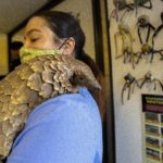 Volunteer team rescues endangered animals