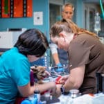 AAHA releases veterinary technician utilization guidelines