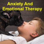 Anxiety And  Emotional Therapy