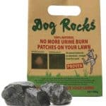 Animal experts say yes to Dog Rocks’ natural lawn burn solution