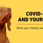 Worrying About Pets and COVID-19: The Real Shelter Issues