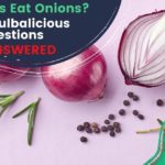 Can Dogs Eat Onions? Your Bulbalicious Questions ANSWERED