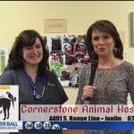 Cornerstone Animal Hospital -Our pets are an important part of our families and they receive quality care (052020) | KSNF/KODE – FourStatesHomepage.com