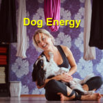 Dog Energy