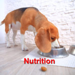 Nutrition