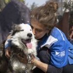 Rescuers Pull Dog Out of Rubble 22 Days after Turkey-Syria Earthquake