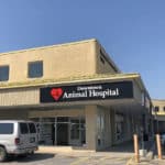 Information Animal Hospital Kingston