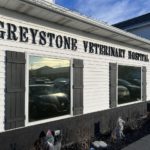 Seven Hills’ Greystone Veterinary Hospital finds Normandy High School graduate expanding services in community: Photos