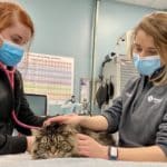 Incredible Animal Care Veterinary Hospitals (Clearfield) References