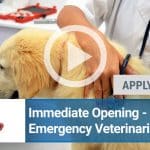 Immediate Opening-Emergency Veterinarian -All Experience (Mount Laurel, NJ, USA)