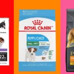 13 Best Dog Foods 2021 | The Strategist