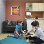 Village Pet Hospital Reviews