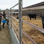 New mobile service to improve access to large animal veterinary care – WSU Insider