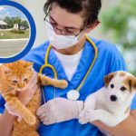 Enroll In This Lufkin, Texas Animal Hospital’s First Summer Camp