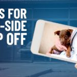 Don’t Risk Your Dog’s Health With Curbside Vet Visits