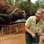 Rafiki’s Planet Watch Reopens this Summer at Disney’s Animal Kingdom Featuring NEW Lion King Celebration!