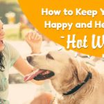 12 don't-miss signs your pet may be getting overheated