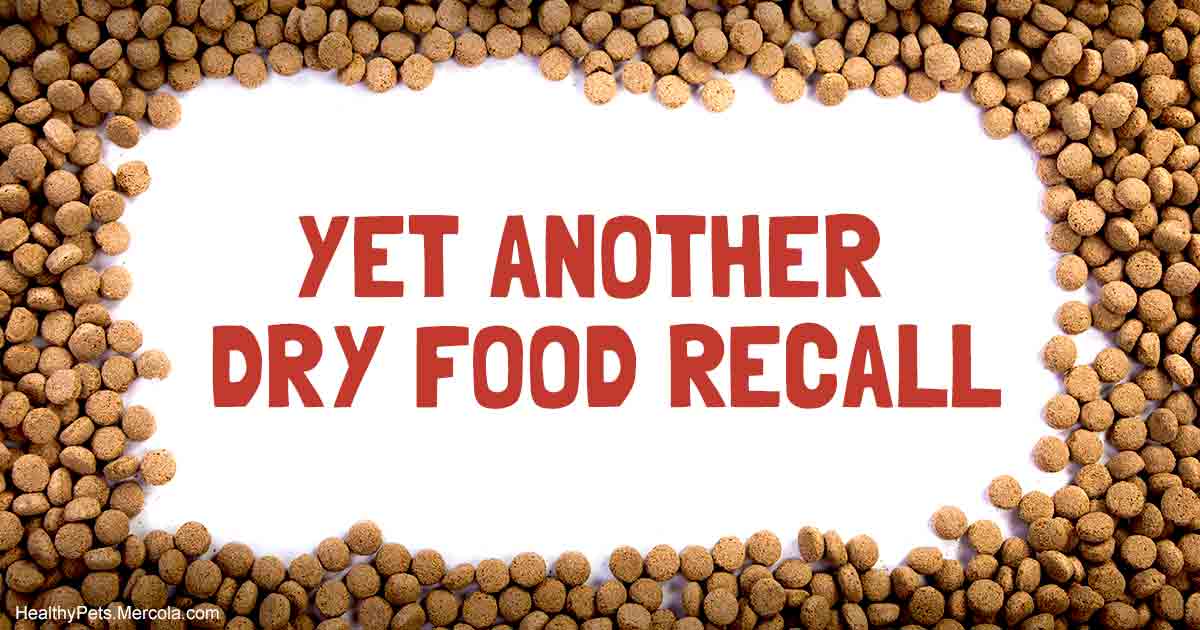 New Pet Food Recall, This One Is Critical