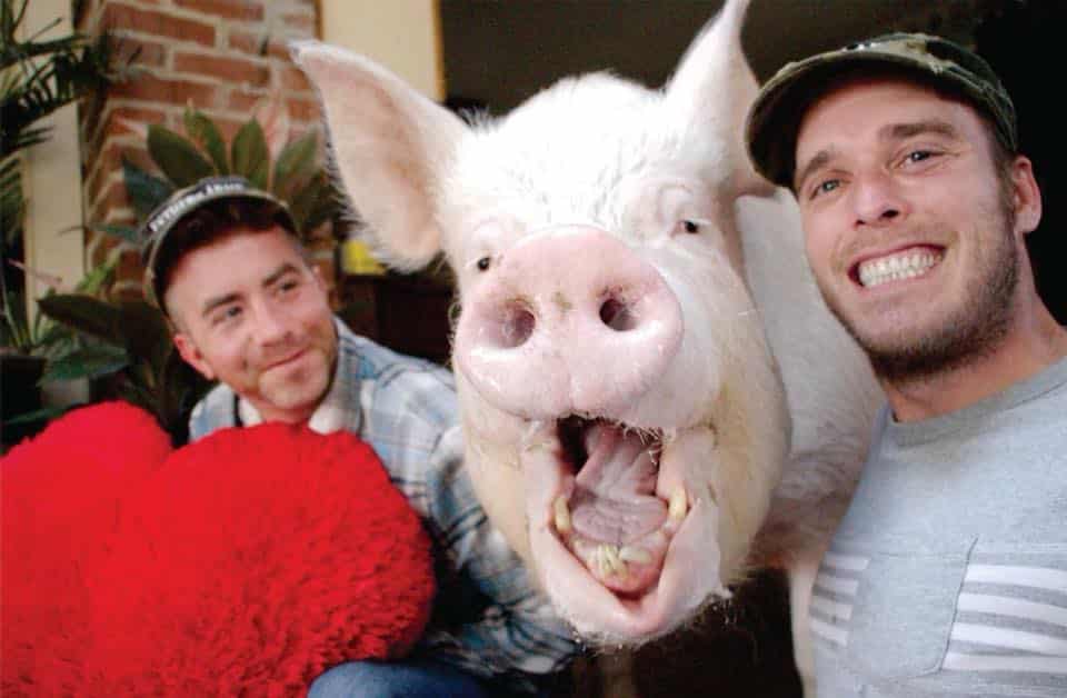 The world's most famous pig is cancer-free now, and her unique CT scanner is saving lives