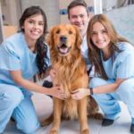 Veterinary teamwork focus of Canada’s Animal Health Week