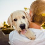 Taking Care Of Our Furry Pals – Providing Quality Veterinary Services In Wareham – tazasoriginales wordpress