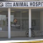 Arnprior, Ont. animal hospital loses veterinarian