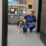 The Best Skokie Animal Hospital Hours References