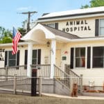 Information Animal Hospital In Fairfield