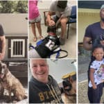 Hank & Eli’s Fund: Giving Back to Dogs Who Serve