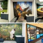 i35 MARKETPLACE ANIMAL HOSPITAL OPENS STATE-OF-THE-ART ANIMAL HOSPITAL FOR PET PARENTS-NEW BRAUNFELS, TX – Agriculture Industry Today – EIN Presswire