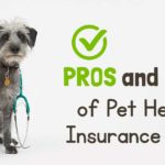 Is pet insurance worth the cost of premiums?